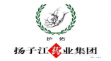 名企推荐
